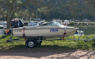 Hellwig Triton